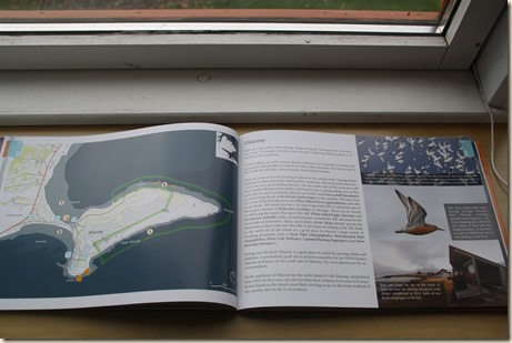 Birding Varanger 3 thumb
