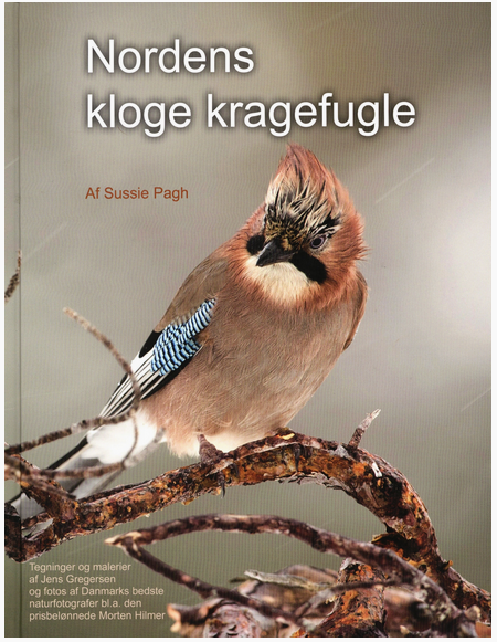 klogekragefugle