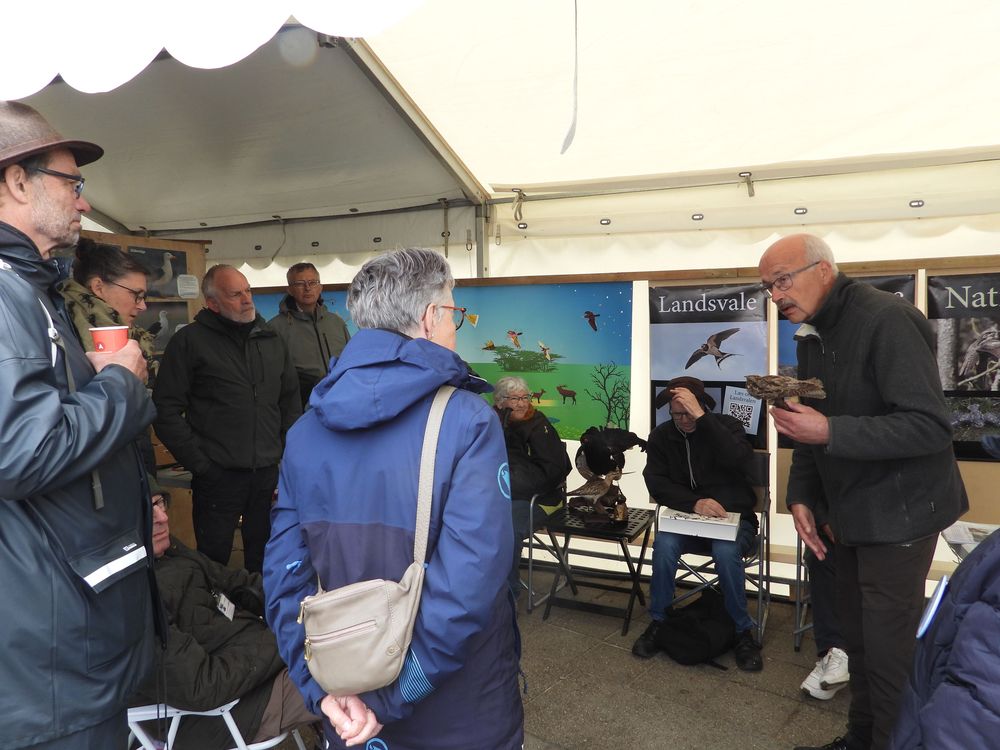 Naturmøde 2025 Hirtshals 3