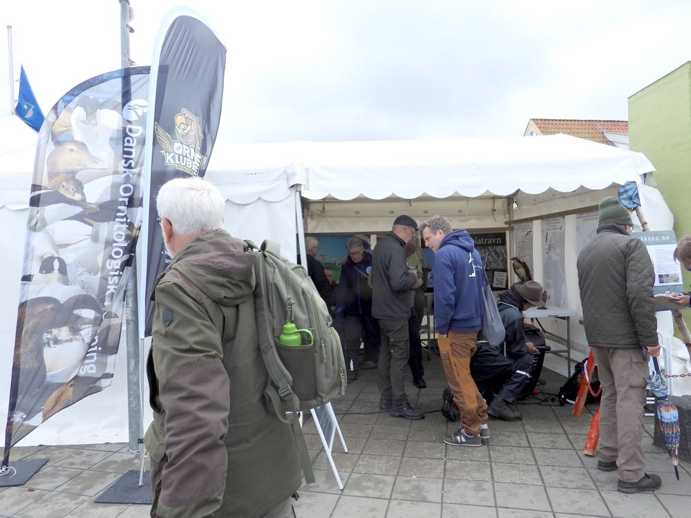Naturmøde 2025 Hirtshals 4