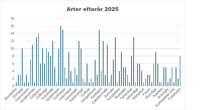 boligbirding arter2025