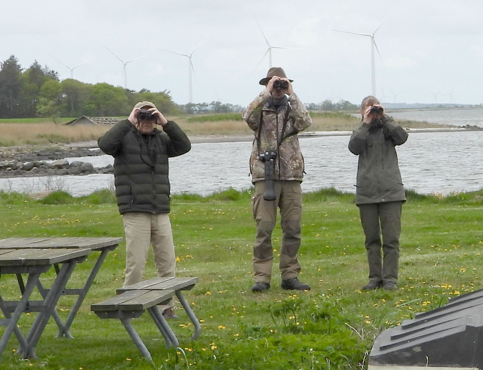 fuglekiggere Staun Havn100