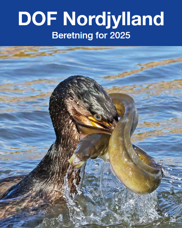 beretning forside 2025