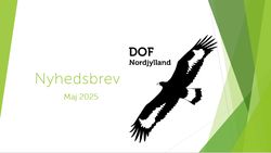 nyhedbrev2025maj tumb