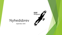 nyhedsbrev2025september tumb