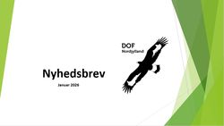 nyhedsbrev2026januar tumb